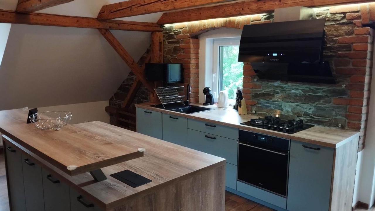 Apartman Albreit 2 Jáchymov Eksteriør bilde